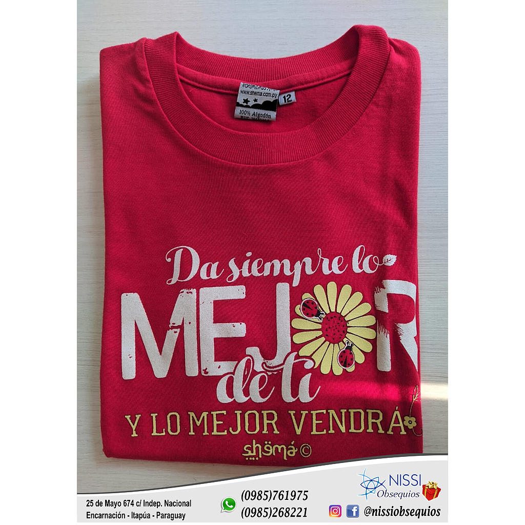 13801 Remera femenino 12